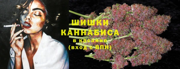 ПСИЛОЦИБИНОВЫЕ ГРИБЫ Нефтегорск
