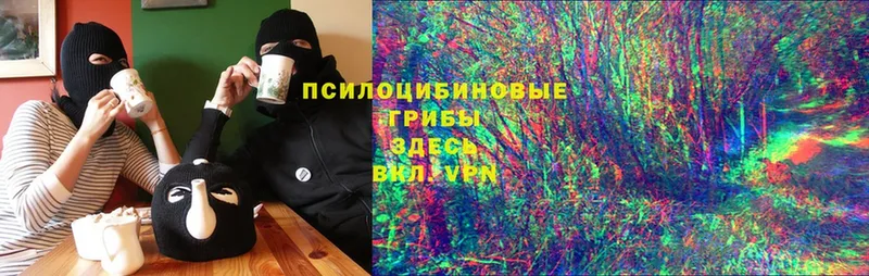 Галлюциногенные грибы Cubensis  ОМГ ОМГ как зайти  площадка какой сайт  Чистополь 