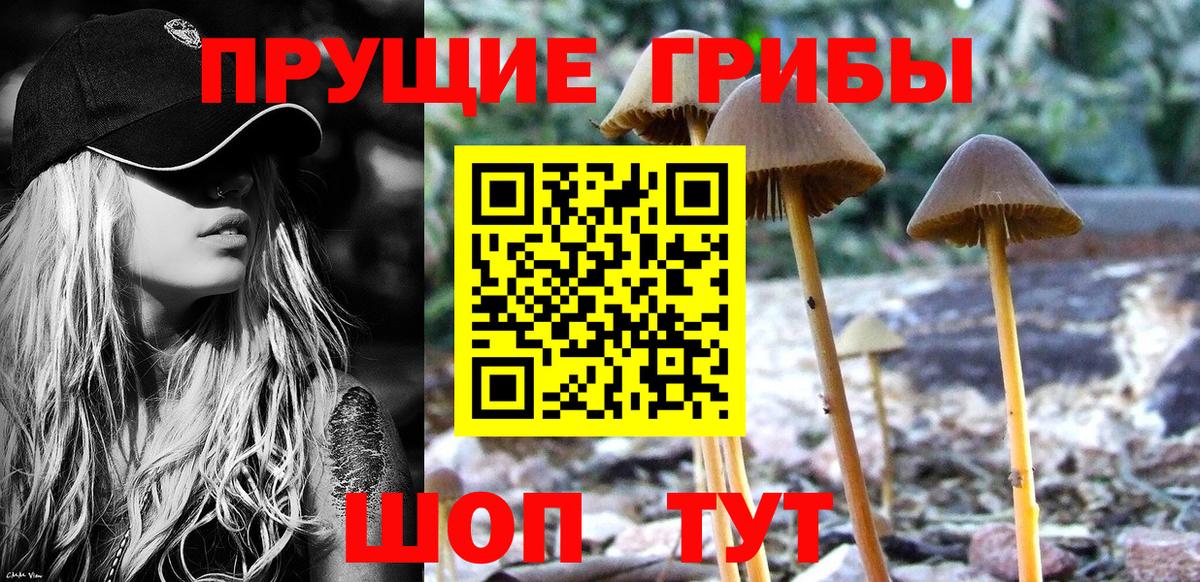 Псилоцибиновые грибы мицелий Чистополь