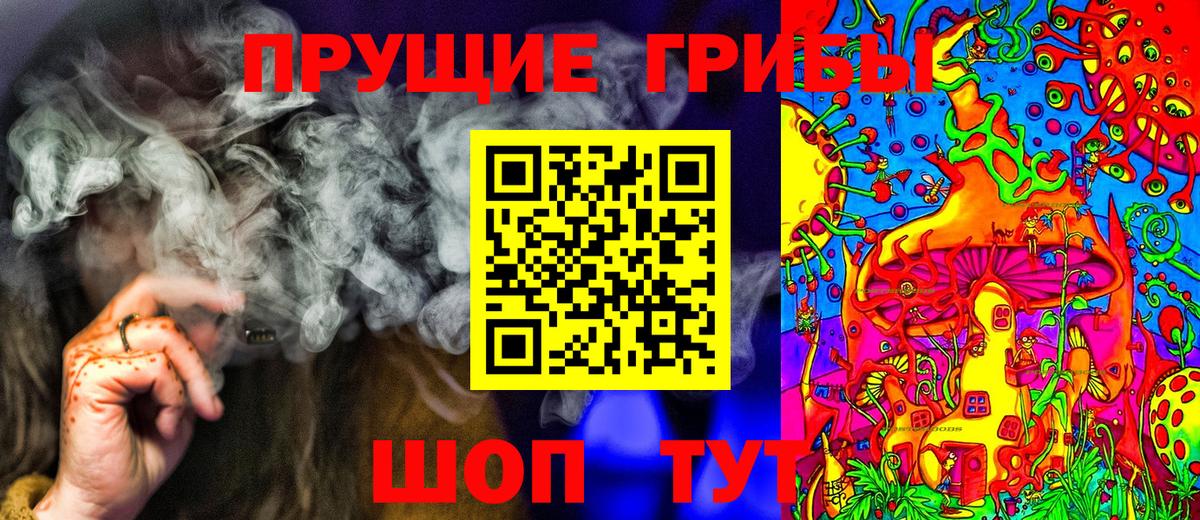 Псилоцибиновые грибы прущие грибы  Галлюциногенные грибы Psilocybine cubensis  Чистополь  Вход с VPN 